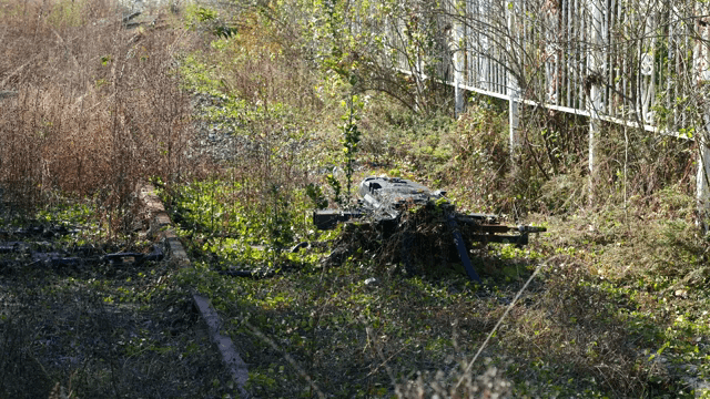 들판의 잡초가 무성한 철도