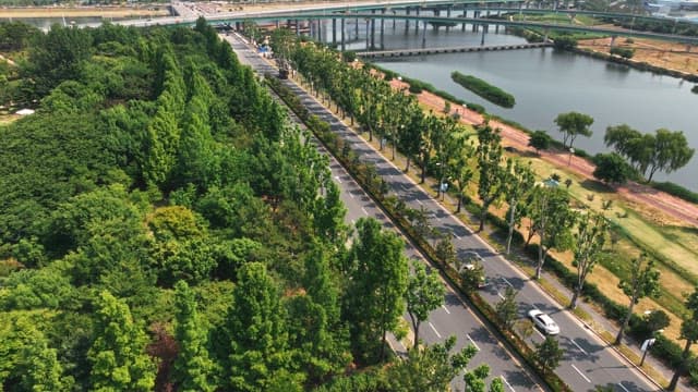 푸른 나무가 보이는 아름다운 수목원