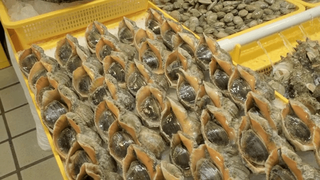 다양한 신선한 해산물이 진열된 모습