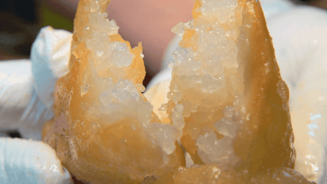 반으로 쪼개지는 튀김 군만두