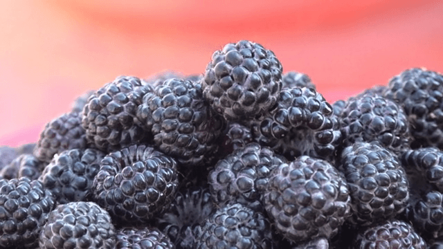 Fresh black raspberries in a basket