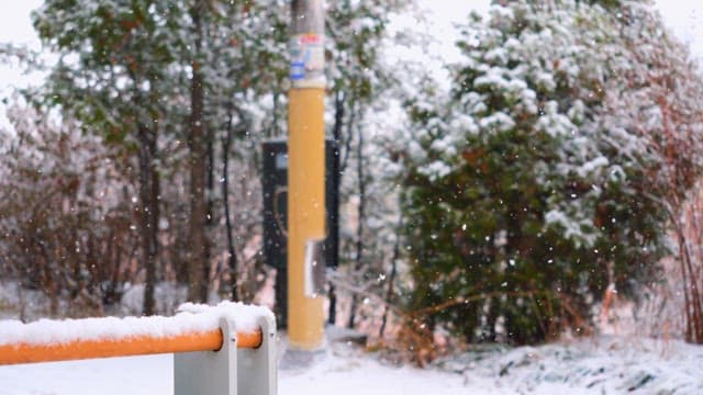 나무와 기둥이 있는 숲에 내리는 눈