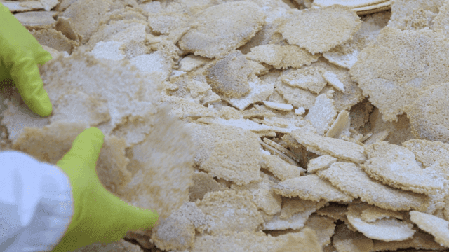 Workers sorting rice crackers at factory