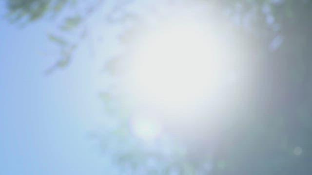 맑은 날 나뭇잎 사이로 비치는 햇빛