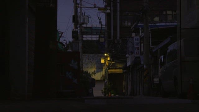Cats in a quiet city alley at dusk