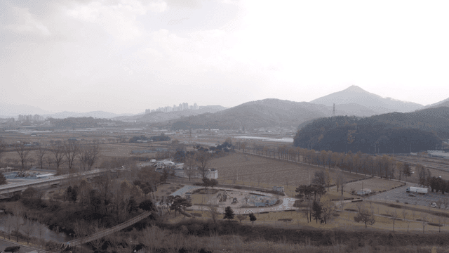 Vast landscape of trees and fields