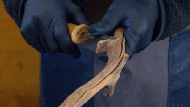 작은 칼로 나무를 조각하는 사람