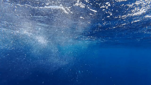 물속에서 거품과 물고기가 보이는 장면