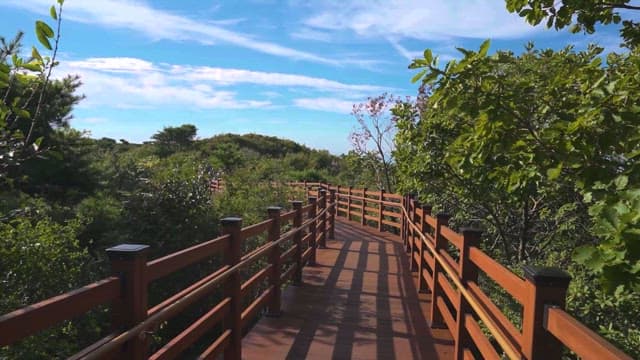 싱그러운 녹지에 둘러싸인 한적한 산책로