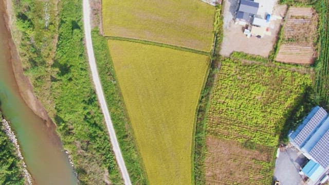 View of farmland and river