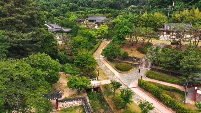 푸른 나무로 둘러싸인 한국 전통 가옥