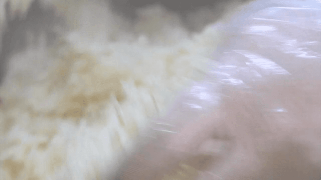 큰 그릇에서 쌀밥을 섞는 모습