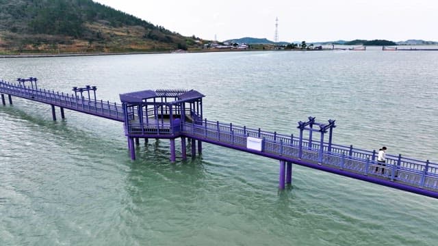 Purple bridge over a calm sea