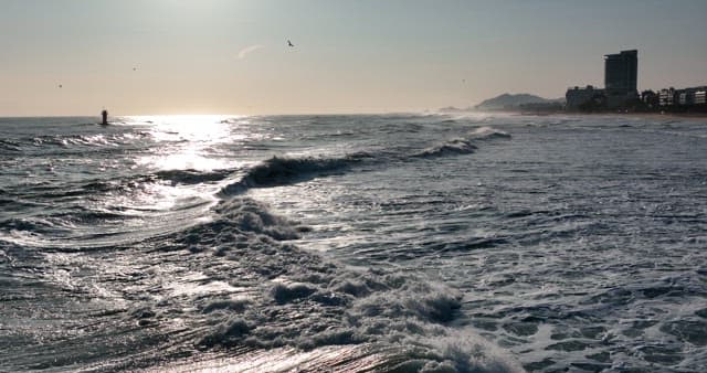 Seashore Scenery with Waves and Sunlight