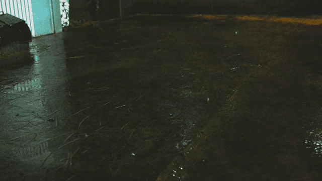 희미한 빛이 비추는 바닥에 내리는 장대비