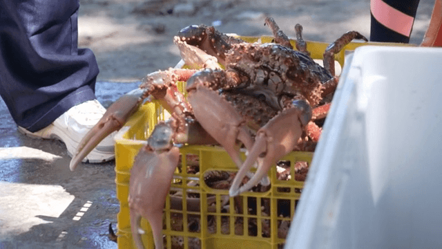 야외에서 노란 바구니에 담긴 게