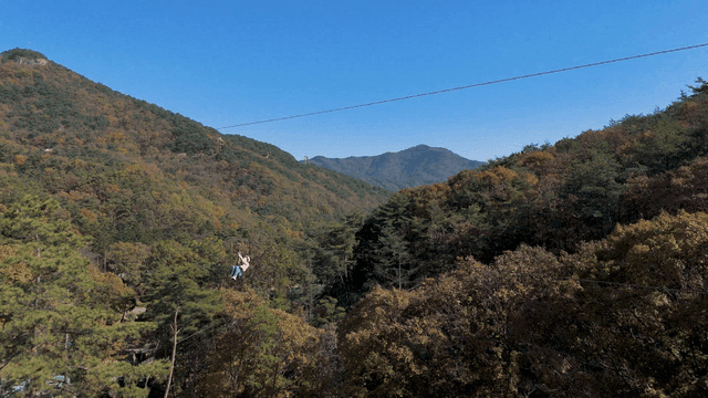 가을 단풍들이 있는 산을 내려오는 집라인