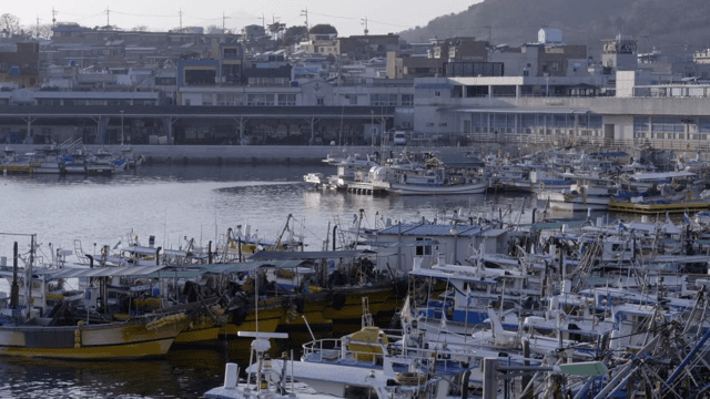 Docked fishing boats in a quiet harbor