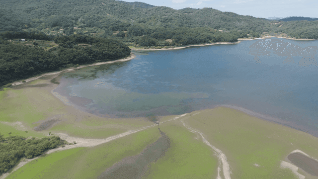 Tranquil lake surrounded by green hills