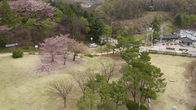 벚꽃이 핀 아름다운 공원