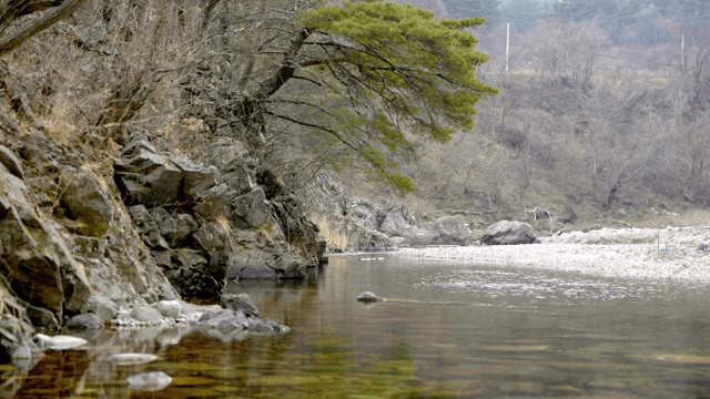 바위 지형을 흐르는 고요한 강