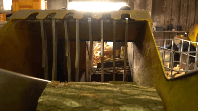 공장에서 가공되는 통나무