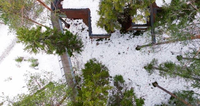 Snow-covered forest with a modern cabin