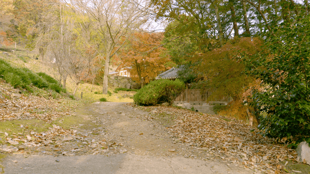 Quiet road with hanok amidst autumn foliage
