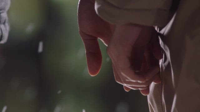 서로를 부드럽게 잡은 손