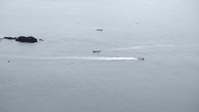 Boats moving across a calm sea
