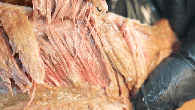Chopsticks for tearing tender meat
