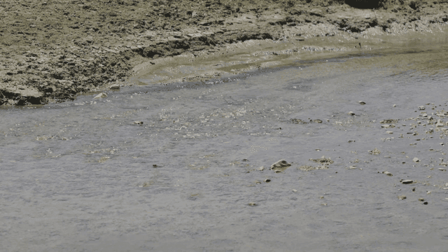 Small stream flowing over rocks
