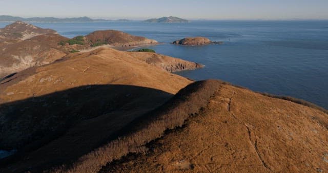 평화로운 해안 언덕과 바다 풍경