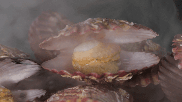 Steamed red scallops with shells open