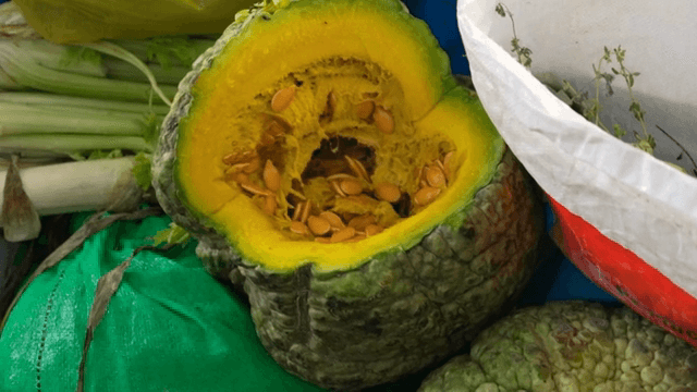 씨가 있는 잘린 호박 전시