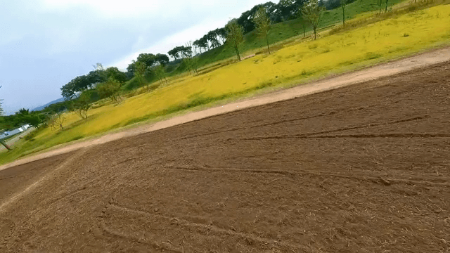 넓은 들판과 연못이 있는 공원의 풍경