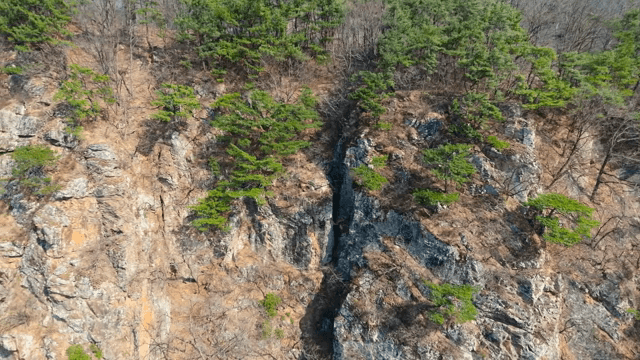 Rocky mountain with green pine trees