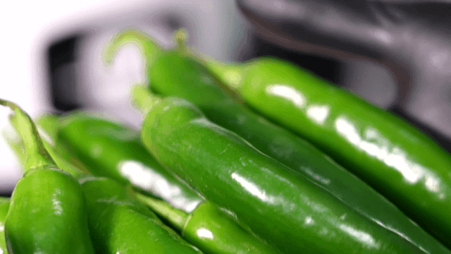 신선한 풋고추를 다루는 모습