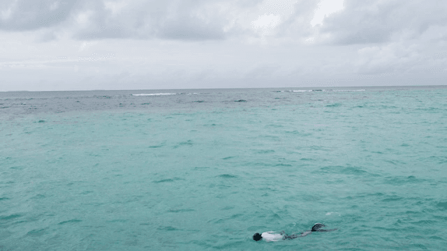 A person snorkeling in the open sea