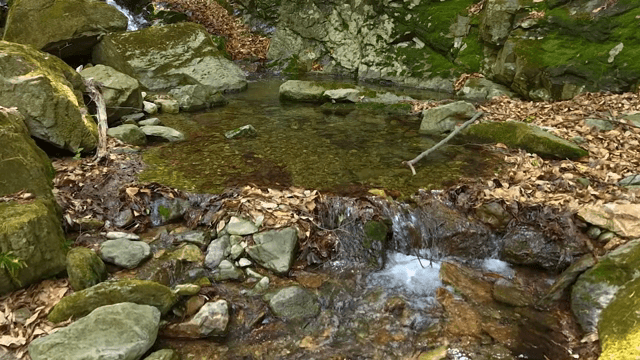바위 위로 흐르는 작은 시냇물