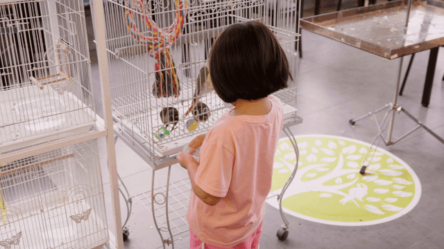 앵무새 카페 새장에 먹이를 넣어주는 여자 아이