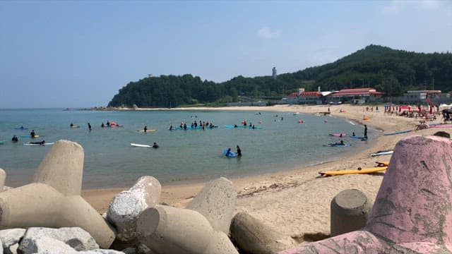 People enjoying surfing on a sunny beach
