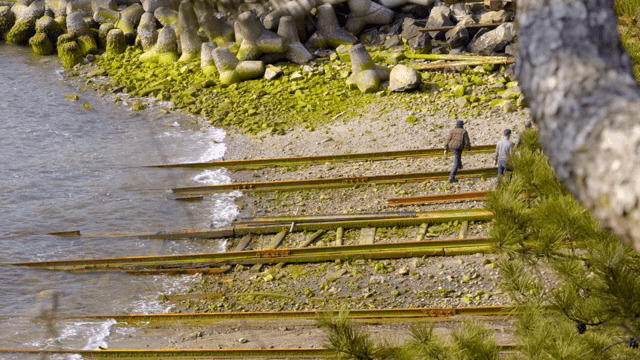 이끼가 낀 선로 주변의 사람들