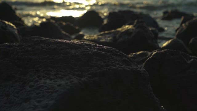 해안 바위에 반짝이는 햇빛