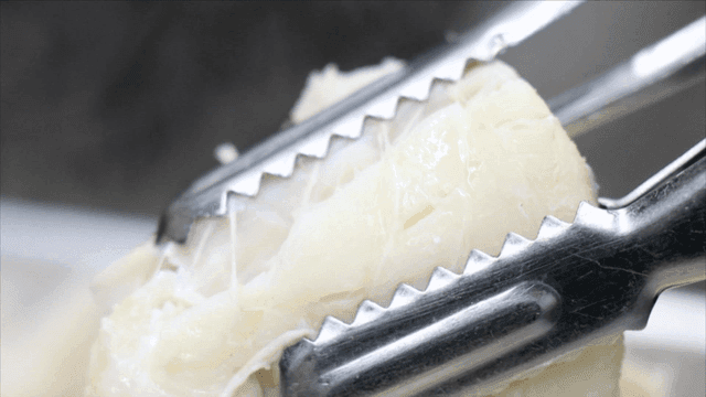 집게로 잡은 익힌 대구 조각