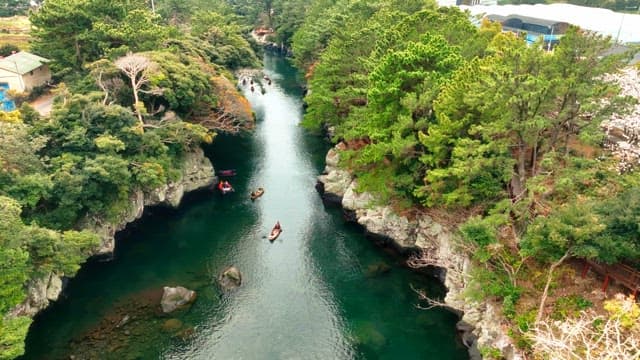 People kayaking in a scenic river surrounded by trees