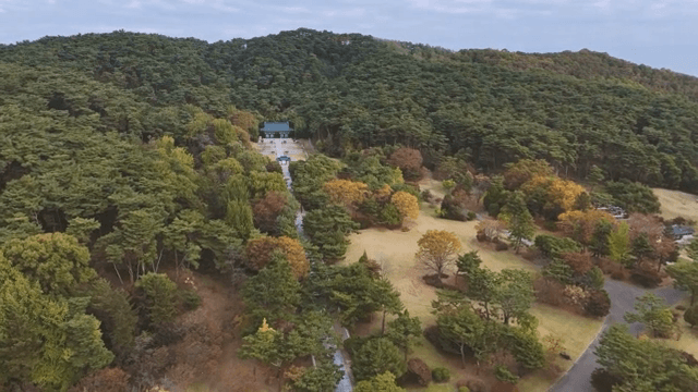 Traditional Korean gate surrounded by forest