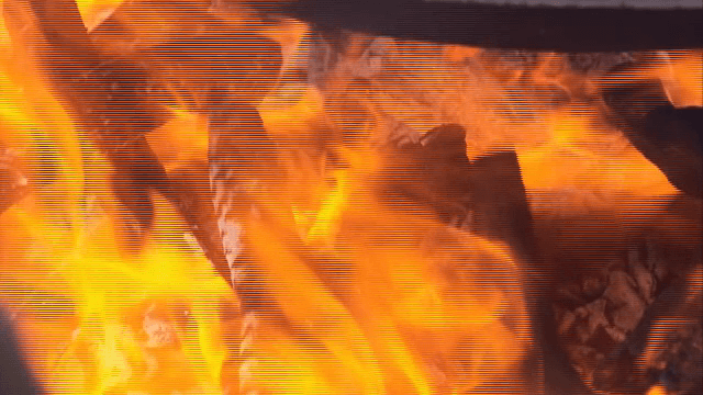 Burning logs with bright flames