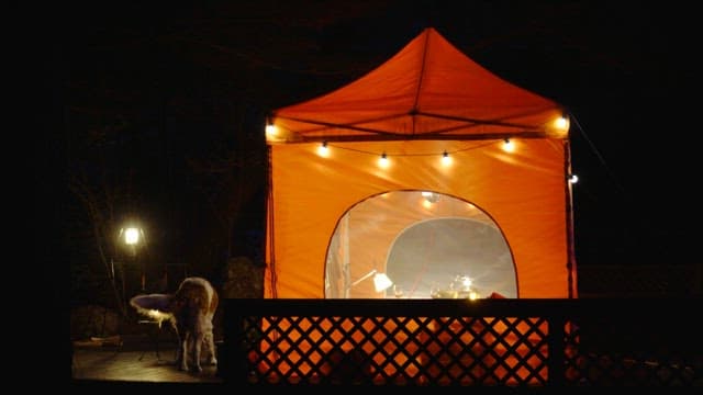 Dog standing near a brightly lit orange tent at night in an outdoor campsite