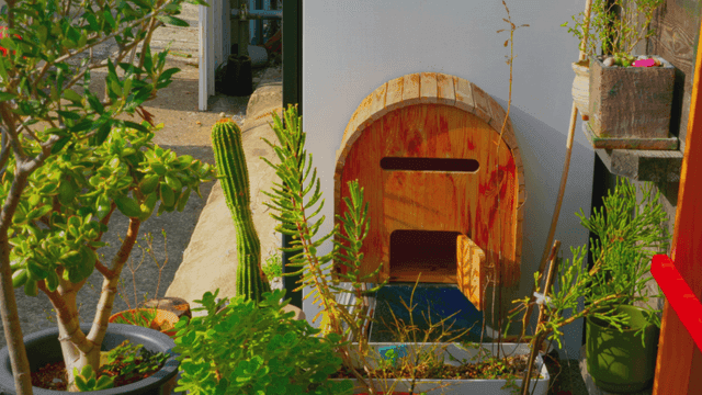 햇빛 속 나무 우편함과 식물 화분들